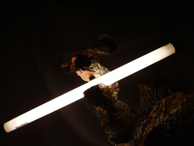 Dragon-Lamp