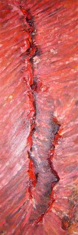 AV Nr.47 - Earthaquake  --  120x40